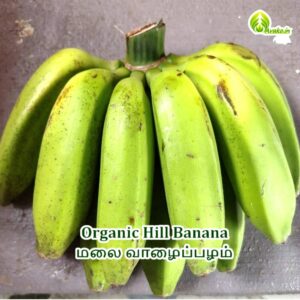 Hill Banana  Organic