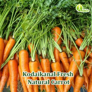 Kodaikanal Carrot | Natural Vegetables | Sweet Carrot