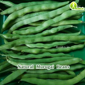 Fresh Murugai  Beans