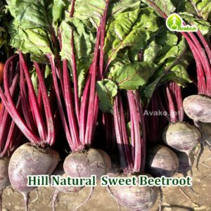Kodaikanal Beetroot | Natural Vegetables | Sweet Beetroot